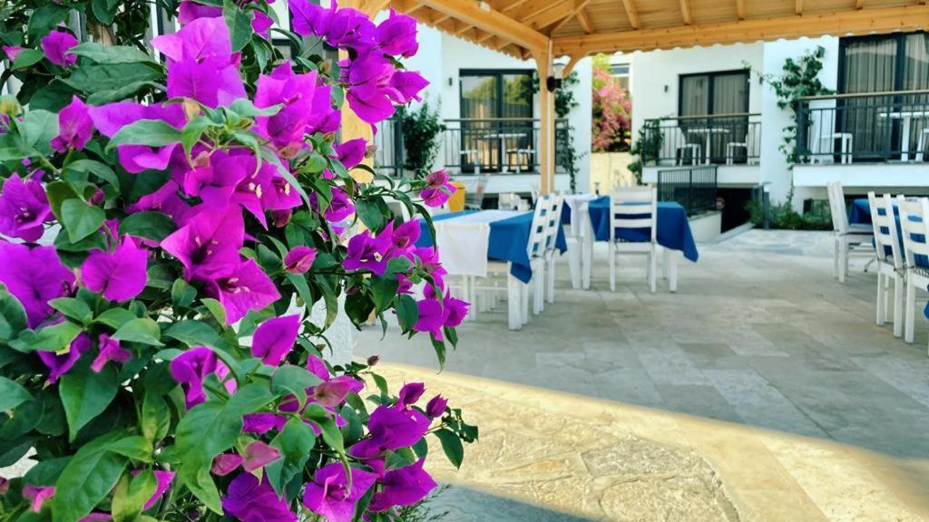 Orion Hotel Бітез Екстер'єр фото