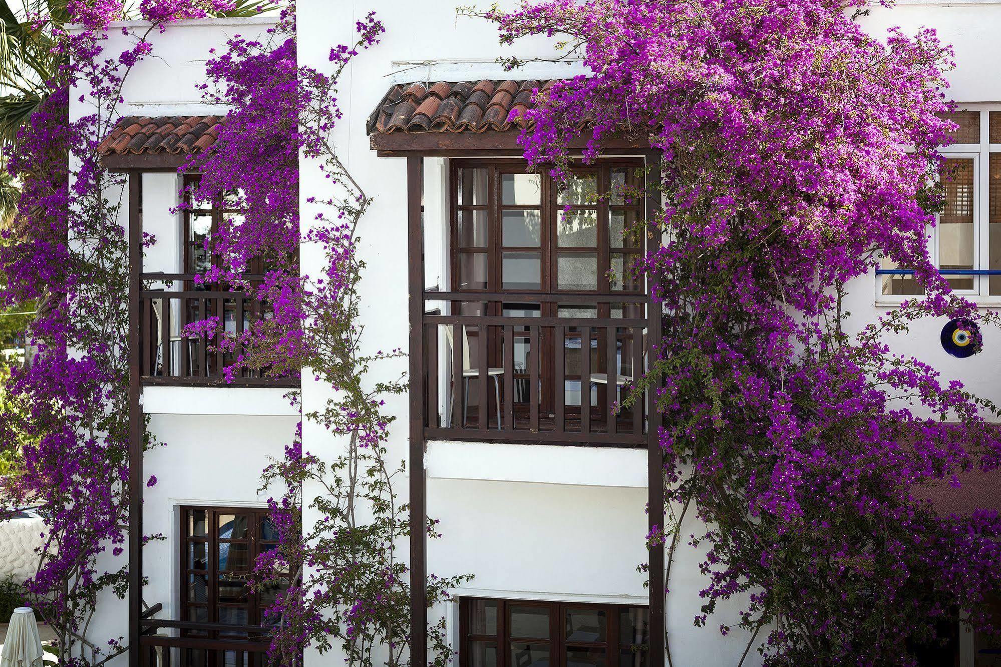 Orion Hotel Бітез Екстер'єр фото